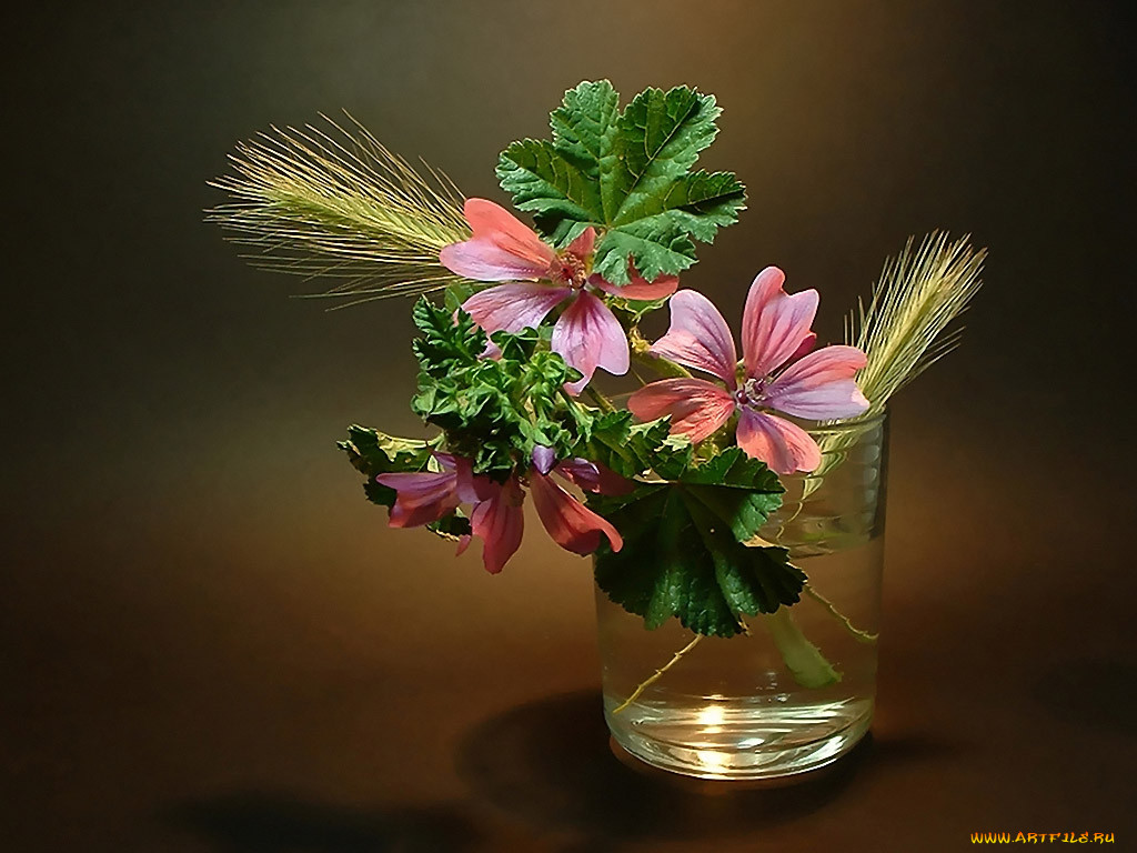solnyshka, , , , , 